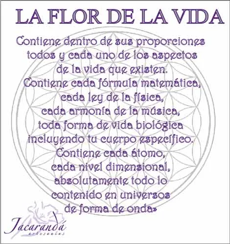 Anillo de Plata 925 Calada Flor de la vida 22 mm 4 la flor de la vida trasera